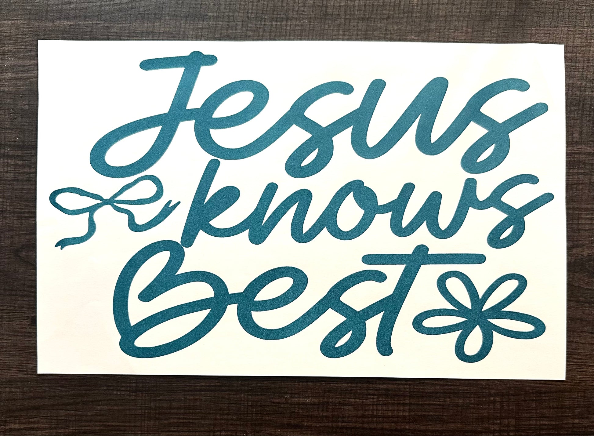Jesus Knows Best Teal Iron On Screen Print Transfer